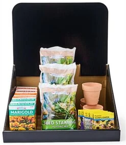 Countertop Cardboard Display, Single Tier, Removable Header - Black