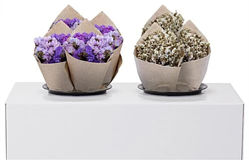 Cardboard Flower Display, 2 Waterproof Plastic Buckets & Green Stock Graphic - White - Image 3