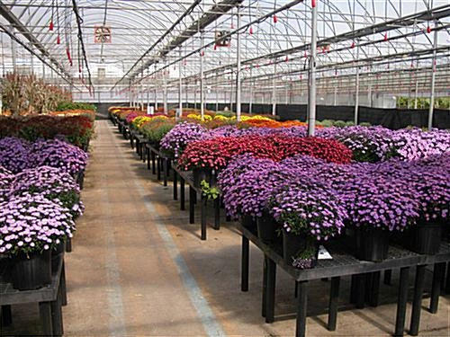 36"w Garden Center Bench Display With 24" Legs, Grid Top, Weatherproof - Black - Image 5